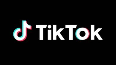 TikTok Challenges U.S. Government in Court Over App Ban Bill