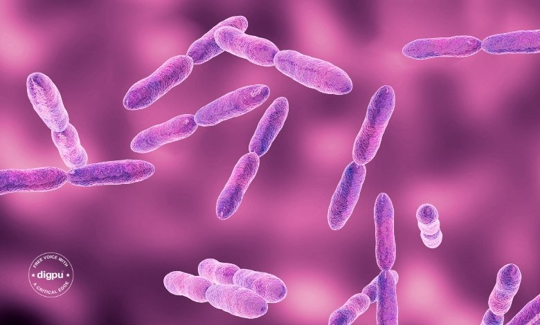 WHO Updates List of Most Dangerous Drug-Resistant Bacteria for 2024