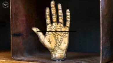 Understanding Palmistry: The Ancient Art of Hand Reading