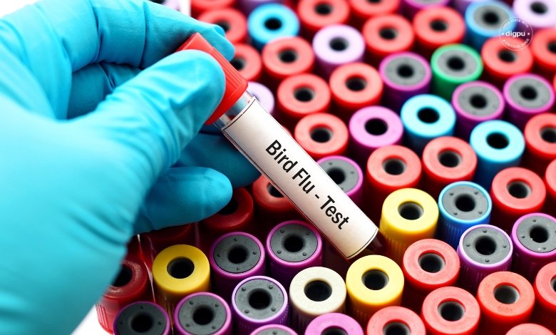 Gaps in Bird Flu Surveillance Pose Pandemic Risk, Experts Warn