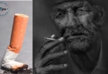WHO Unveils Comprehensive Tobacco Cessation Guidelines to Aid 750 Million Smokers