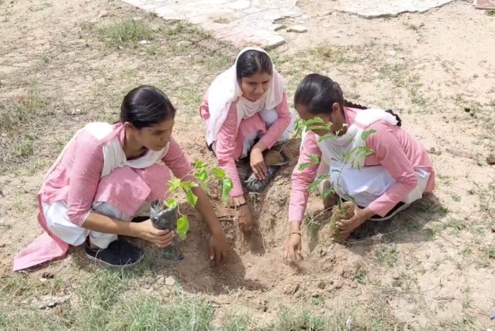 Green Roots: Massive Tree Plantation Drive at Maa Karni Teacher Training College with Rotary Club Aadya