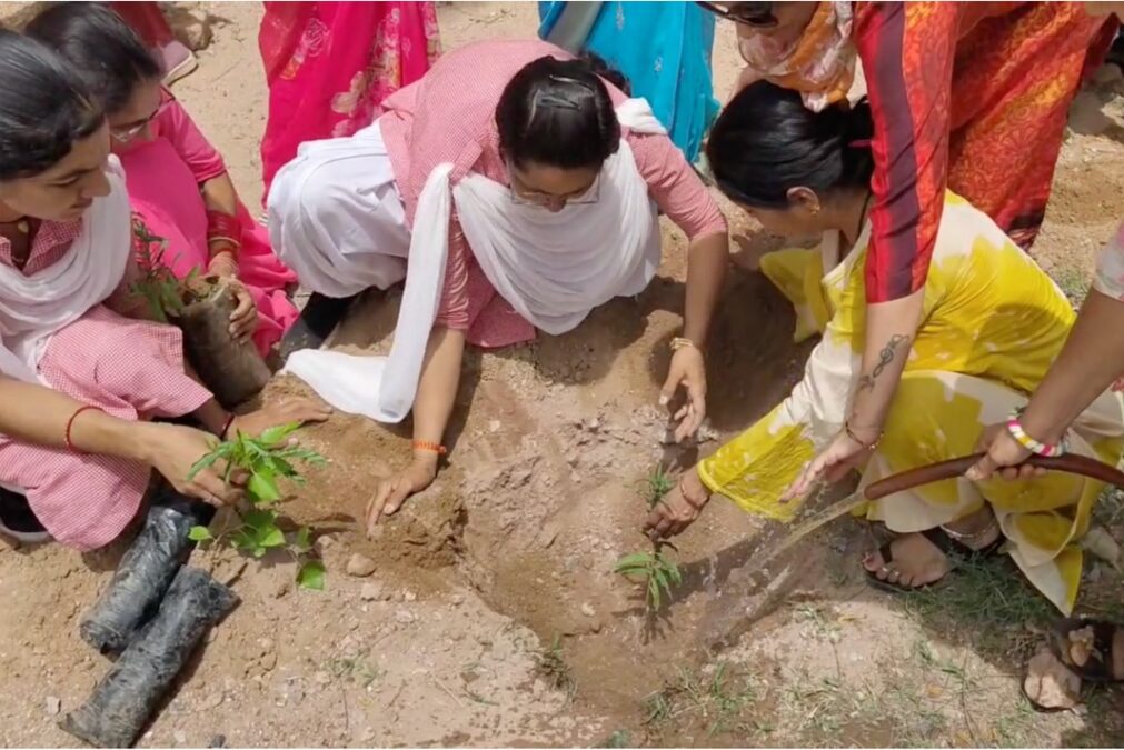 Green Roots: Massive Tree Plantation Drive at Maa Karni Teacher Training College with Rotary Club Aadya