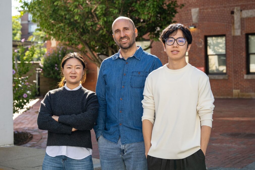 Why Do Some Memories Stick While Others Fade