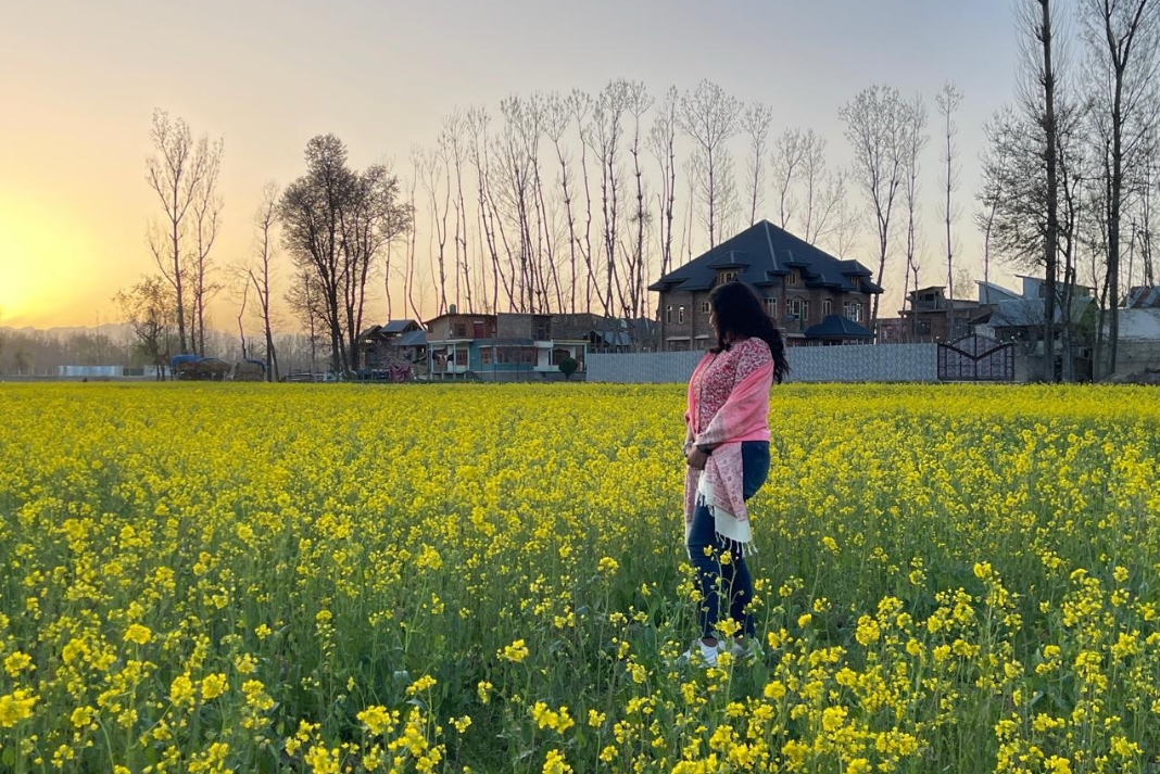 In the Valley of Tulips and Shadows of fear