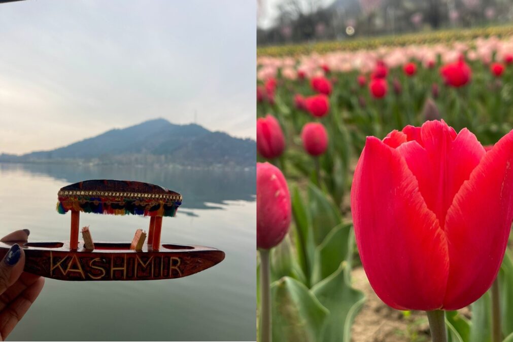 In the Valley of Tulips and Shadows of fear