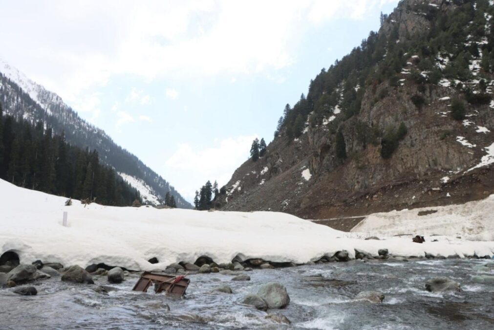 In the Valley of Tulips and Shadows of fear