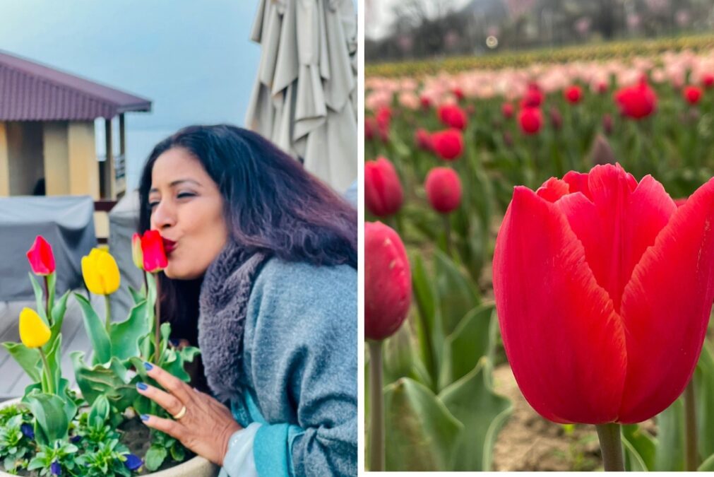 In the Valley of Tulips and Shadows of fear