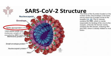 COVID-19 Vaccines: Peter McCullough's Spike Protein Claims