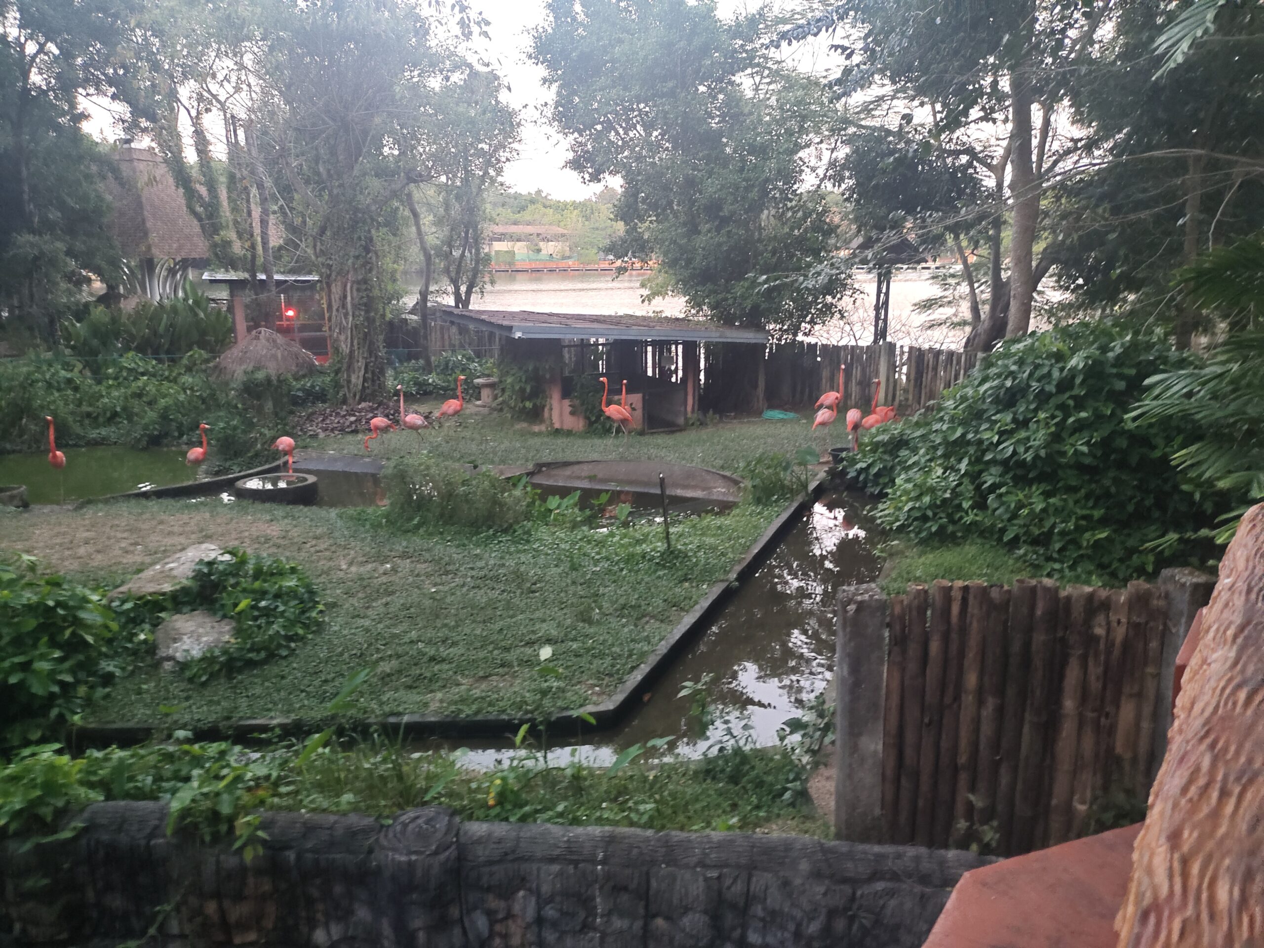 Chiang Mai Nigh Safari Park